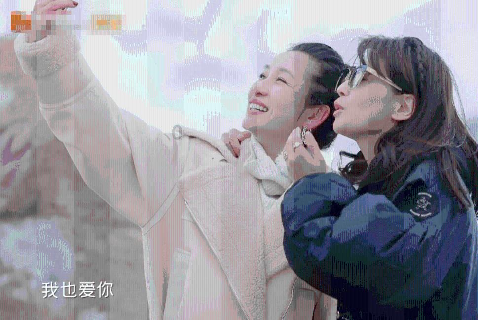 组装机械章鱼龙